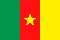Flag of Cameroon