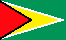 Flag of Guyana